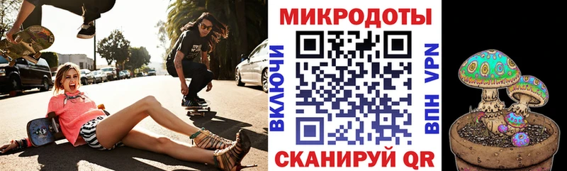 Галлюциногенные грибы Psilocybine cubensis  OMG ссылки  Ильский  где найти  